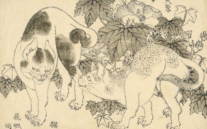 Meer dan 100 niet-gepubliceerde Hokusai-tekeningen duiken weer op in nieuwe tentoonstelling