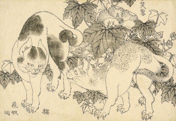 Meer dan 100 niet-gepubliceerde Hokusai-tekeningen duiken weer op in nieuwe tentoonstelling