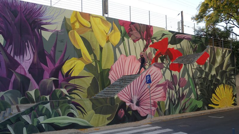 Weelderige tropische planten ontspruiten uit felgekleurde muurschilderingen door Thiago Mazza