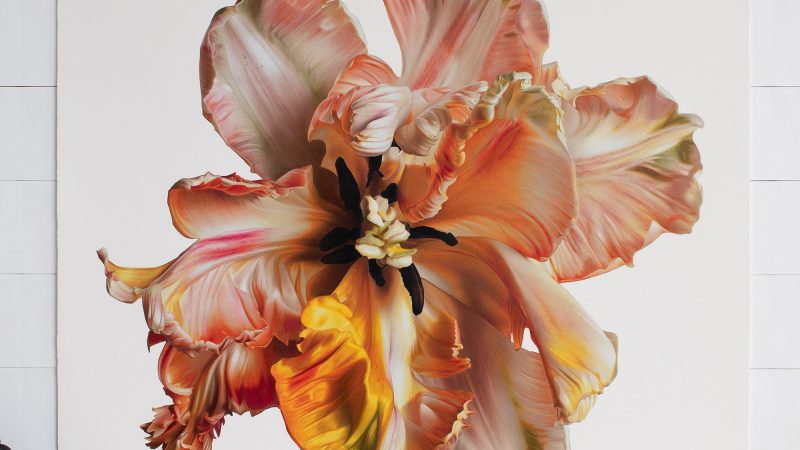 Zijdeachtige bloemen komen uit de enorme hyperrealistische tekeningen van CJ Hendry in kleurpotlood